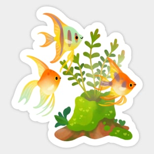 Fresh water fish and plants - angelfish Sticker